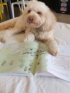 Max the Cavapoo puppy sitting on a mat with his paws resting on a book
